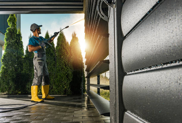 Best Graffiti Removal  in Ionia, MI